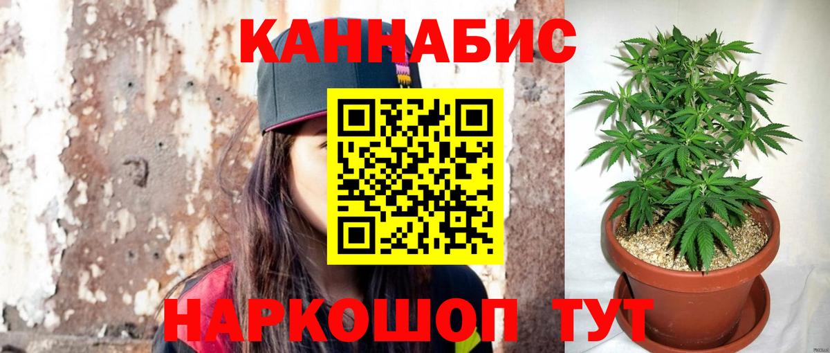 Шишки марихуана SATIVA & INDICA  МАРИХУАНА тримм  Марихуана White Widow  Вход с VPN  Камень-на-Оби  Шишки марихуана White Widow 